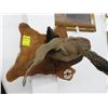 Image 1 : Duck Taxidermy