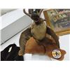 Image 2 : Duck Taxidermy