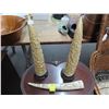 Image 1 : Oriental Carved/Etched Horns - 3