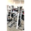 Image 2 : APEX LEVER LATERAL RAISE