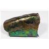 Image 3 : AMMOLITE ART PIECE -ALBERTAS OFFICIAL 65 MILLION