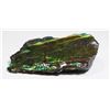 Image 2 : AMMOLITE ART PIECE -ALBERTAS OFFICIAL 65 MILLION