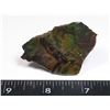 Image 1 : AMMOLITE ART PIECE -ALBERTAS OFFICIAL 65 MILLION