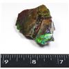 Image 2 : AMMOLITE ART PIECE -ALBERTAS OFFICIAL 65 MILLION