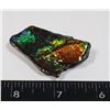 Image 1 : AMMOLITE ART PIECE -ALBERTAS OFFICIAL 65 MILLION