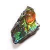 Image 3 : AMMOLITE ART PIECE -ALBERTAS OFFICIAL 65 MILLION
