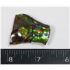 Image 1 : AMMOLITE ART PIECE -ALBERTAS OFFICIAL 65 MILLION