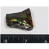 Image 2 : AMMOLITE ART PIECE -ALBERTAS OFFICIAL 65 MILLION