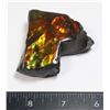 Image 2 : AMMOLITE ART PIECE -ALBERTAS OFFICIAL 65 MILLION