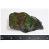 Image 1 : AMMOLITE ART PIECE -ALBERTAS OFFICIAL 65 MILLION