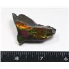 Image 1 : AMMOLITE ART PIECE -ALBERTAS OFFICIAL 65 MILLION