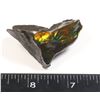Image 2 : AMMOLITE ART PIECE -ALBERTAS OFFICIAL 65 MILLION