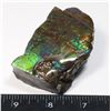 Image 1 : AMMOLITE ART PIECE -ALBERTAS OFFICIAL 65 MILLION