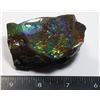 Image 2 : AMMOLITE ART PIECE -ALBERTAS OFFICIAL 65 MILLION