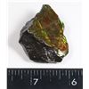 Image 1 : AMMOLITE ART PIECE -ALBERTAS OFFICIAL 65 MILLION
