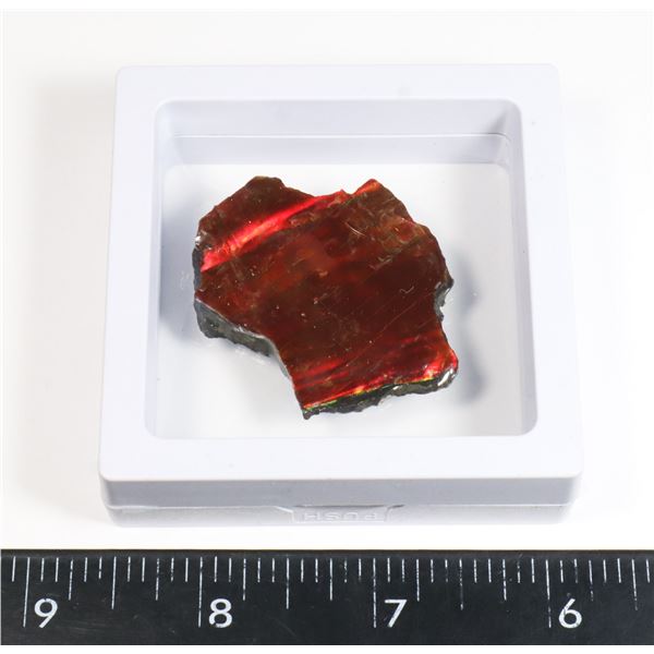 AMMOLITE GEMSTONE -ALBERTAS OFFICIAL 65 MILLION