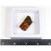 Image 1 : AMMOLITE GEMSTONE -ALBERTAS OFFICIAL 65 MILLION