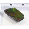 Image 2 : AMMOLITE GEMSTONE -ALBERTAS OFFICIAL 65 MILLION