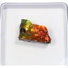 Image 2 : AMMOLITE GEMSTONE -ALBERTAS OFFICIAL 65 MILLION