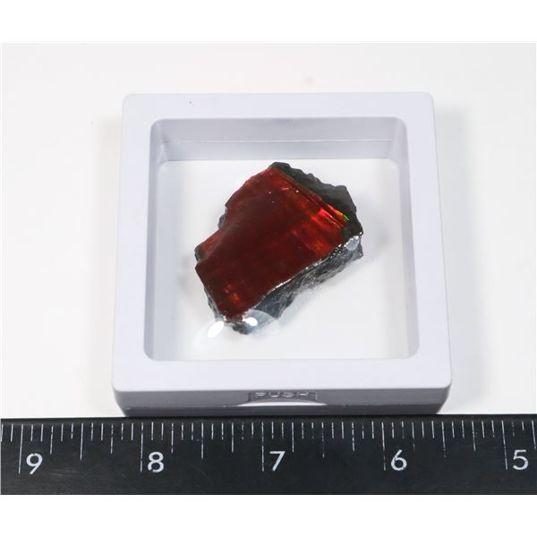 AMMOLITE GEMSTONE -ALBERTAS OFFICIAL 65 MILLION