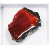 Image 2 : AMMOLITE GEMSTONE -ALBERTAS OFFICIAL 65 MILLION