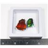 Image 1 : AMMOLITE GEMSTONE -ALBERTAS OFFICIAL 65 MILLION