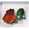Image 2 : AMMOLITE GEMSTONE -ALBERTAS OFFICIAL 65 MILLION