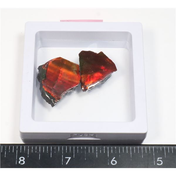 AMMOLITE GEMSTONE -ALBERTAS OFFICIAL 65 MILLION