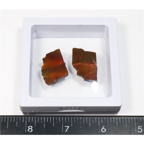 AMMOLITE GEMSTONE -ALBERTAS OFFICIAL 65 MILLION