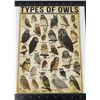 Image 2 : SIX OWL PLATES FROM KNOWLES COMES WITH