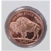 Image 2 : 1-OZ BUFFALO COPPER ROUND IN 11" X 7" FOAM