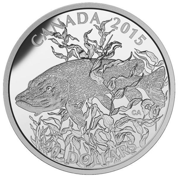 1-OZ 2015 AMERICAN SPORTFISH: NORTHERN PIKE