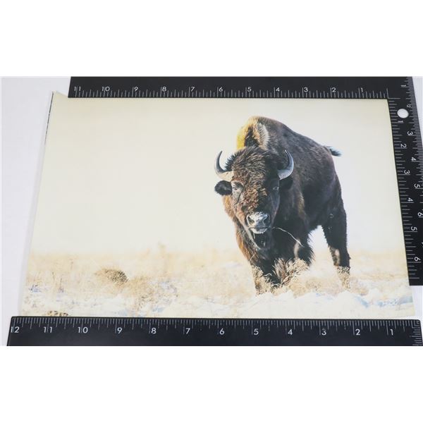 NATIVE THEMED UNFRAMED WALL ART MADE FROM