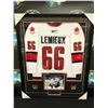 Image 1 : PROFESSIONALLY FRAMED MARIO LEMIEUX SIGNED TEAM CANADA JERSEY (FRAMEWORTH SPORTS COA)