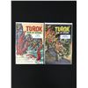 Image 1 : LOT OF 2 VINTAGE TUROK SON OF STONE COMICS (GOLD KEY COMICS)