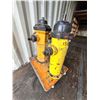 Image 1 : 2 Fire Hydrants