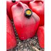 Image 4 : Jerry Cans