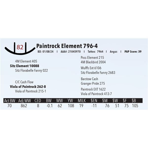 Paintrock Element 796-4