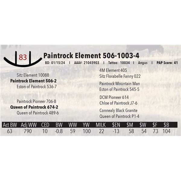 Paintrock Element 506-1003-4