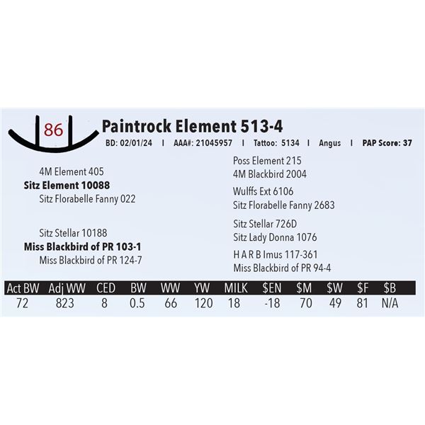 Paintrock Element 513-4