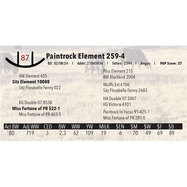 Paintrock Element 259-4
