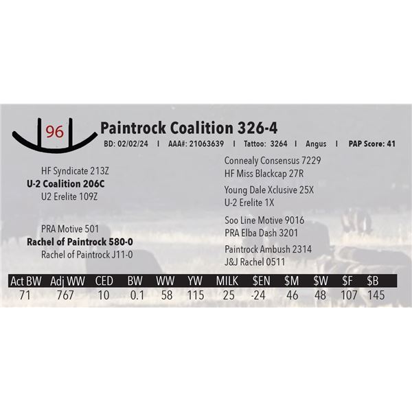 Paintrock Coalition 326-4