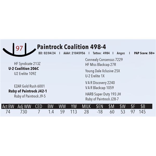 Paintrock Coalition 498-4