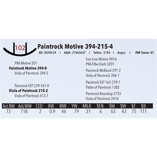 Paintrock Motive 394-215-4