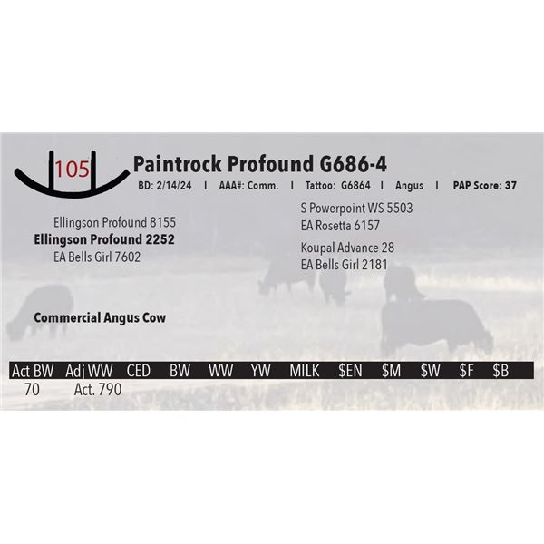 Paintrock Profound G686-4
