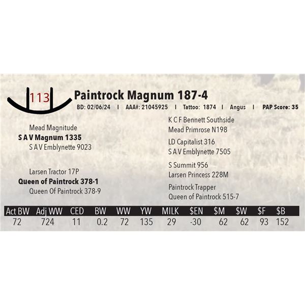 Paintrock Magnum 187-4