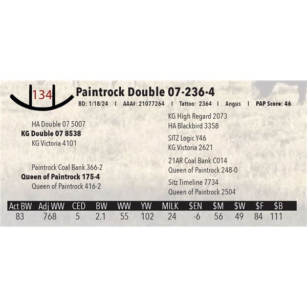 Paintrock Double 07-236-4