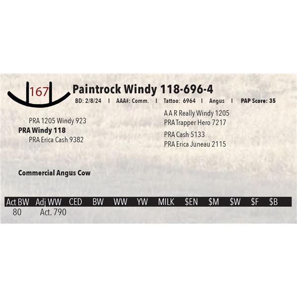 Paintrock Windy 118-696-4