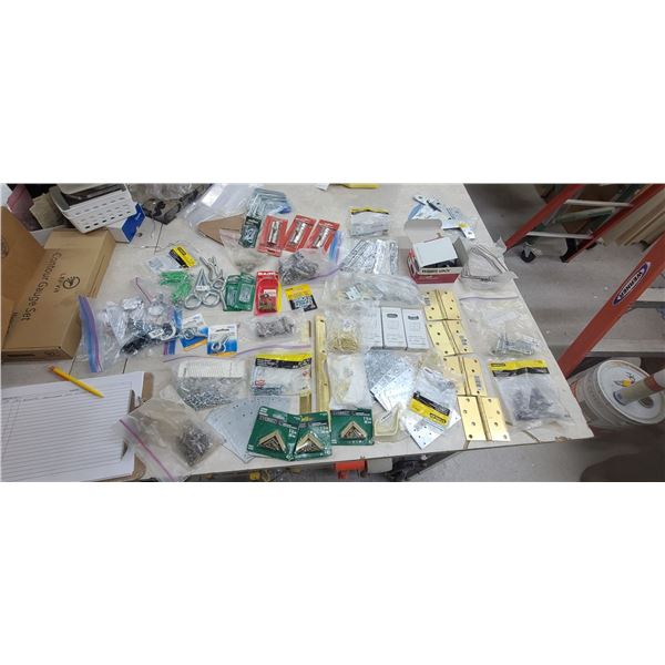 ASSORTED HARDWARE - HINDGES