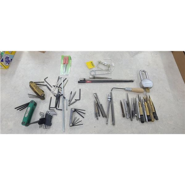 ASSORTED ALLEN KEYS. PUNCHES AND STOCK CHECKERING TOOL